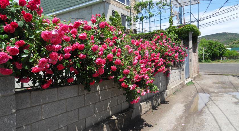 Гостевой дом Otdykh Na solnechnoy Рыбачье-13
