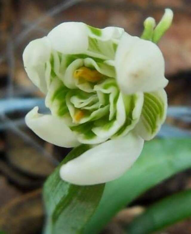 Гостевой дом Otdykh Na solnechnoy Рыбачье-15